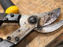 Garden Tools 2
